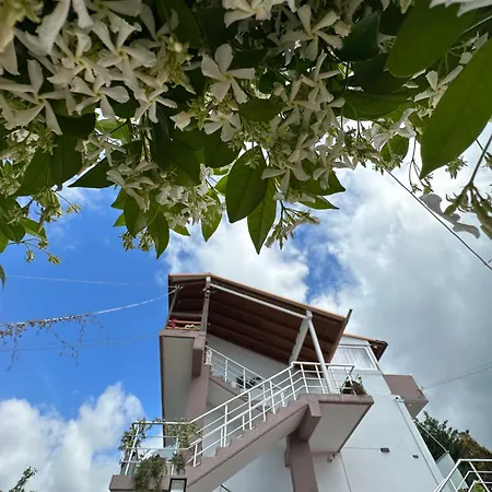 Casa de hóspedes Anel